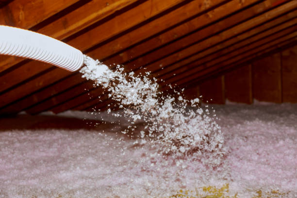 Best Types of Insulation in Lakeland Highlands, FL