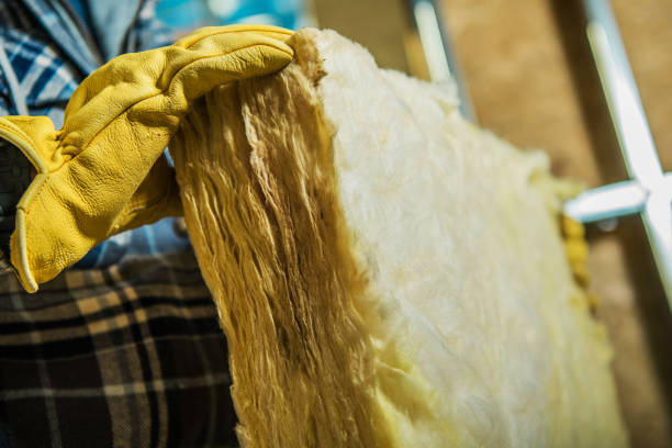 Best Residential Insulation in Lakeland Highlands, FL